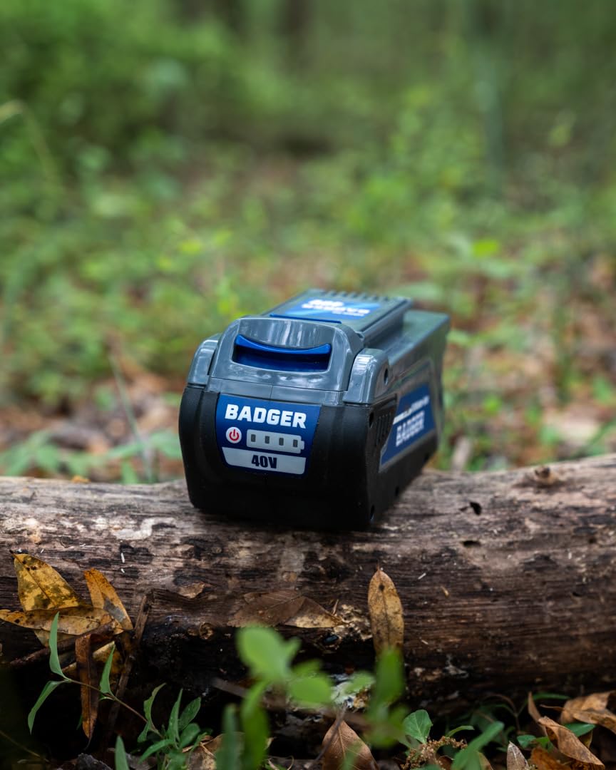 Cordless 40 Volt 5.0 Ah Battery B56325