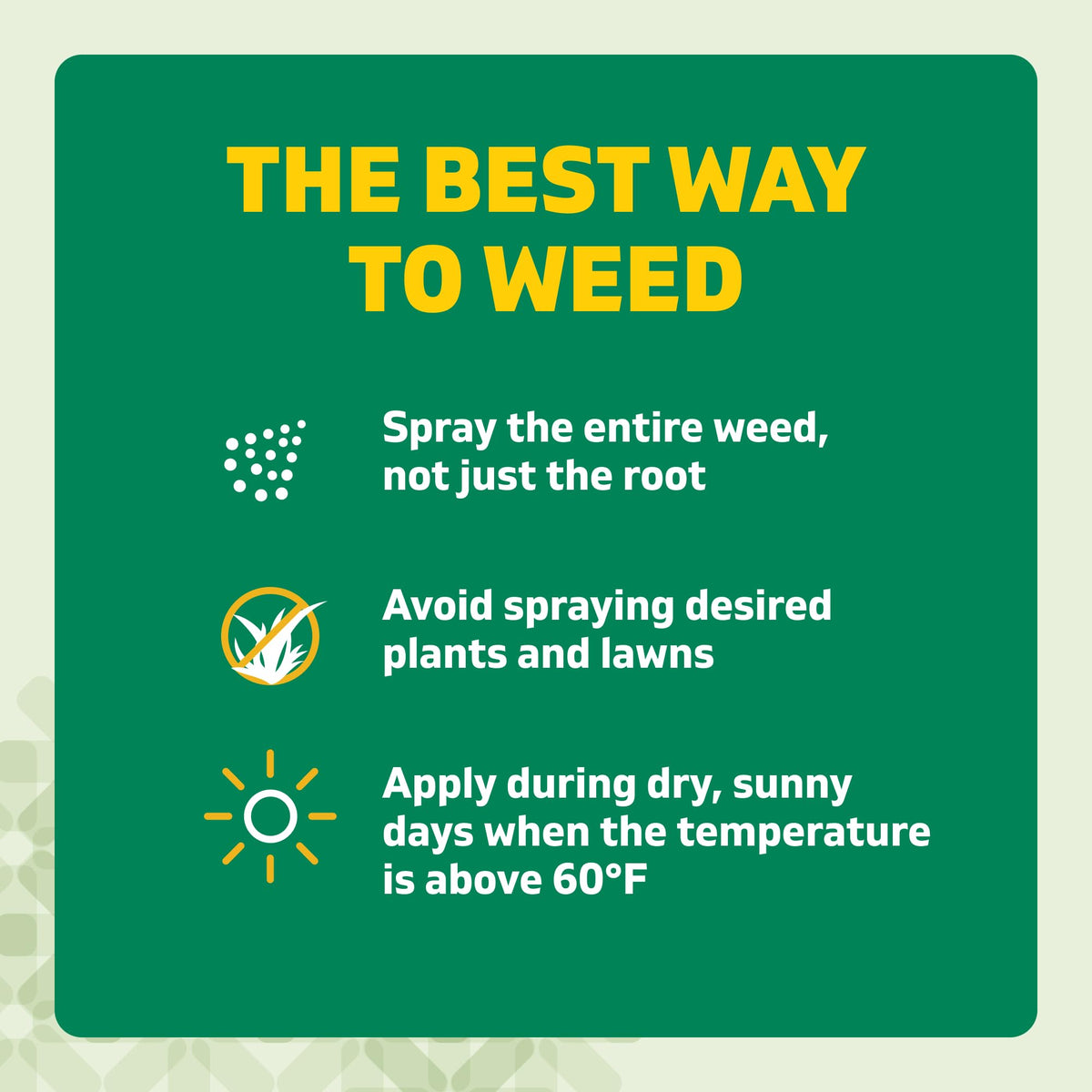 Weed & Grass Killer Kit, 64 Oz Y9950