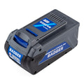 Cordless 40 Volt 5.0 Ah Battery B56325