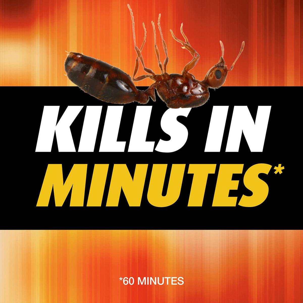 Fire Ant Killer 12 oz X278626
