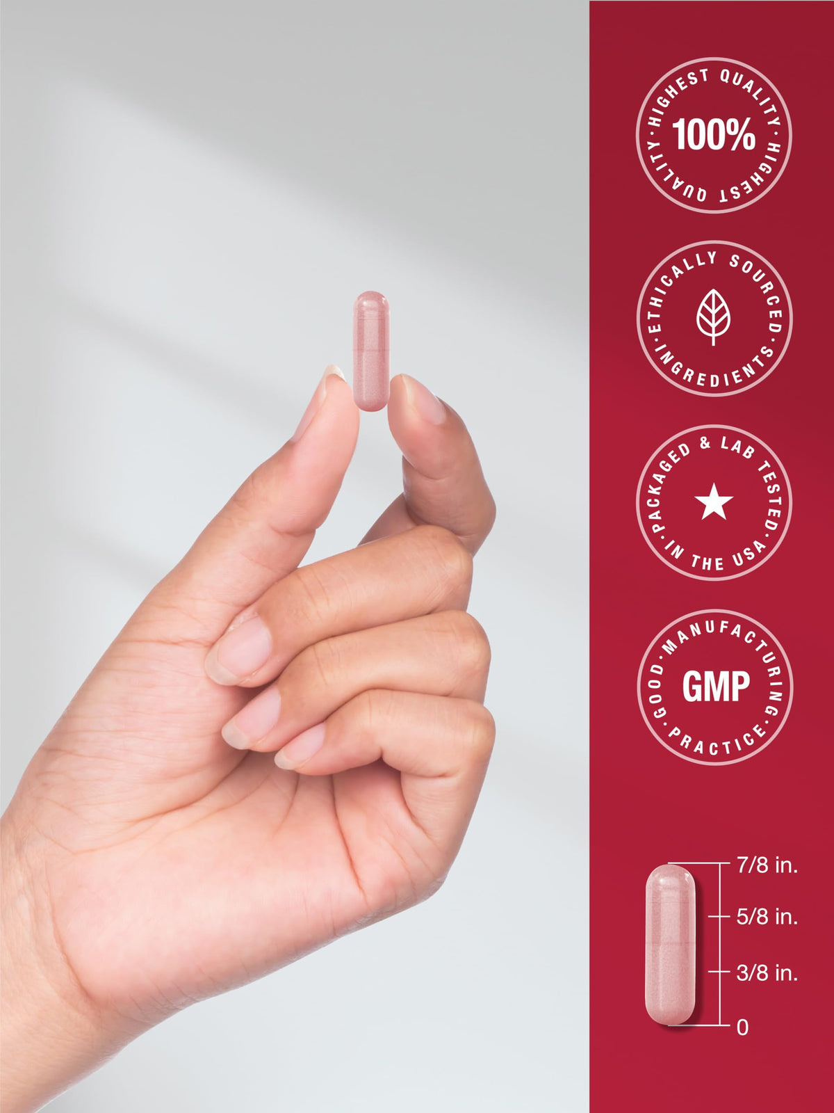 Beet Root Capsules 180 Count R56115