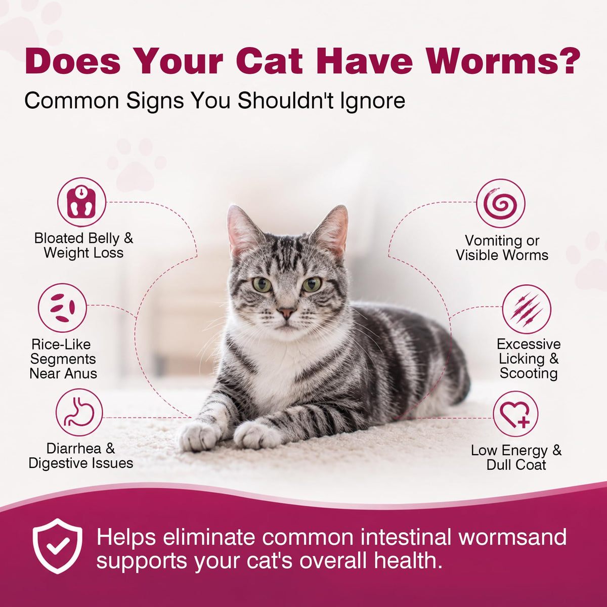 Broad-Spectrum Dewormer for Cats and Kittens, 12 Tablets F51969