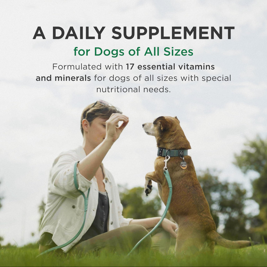 Multivitamin Supplement for Dogs 60 Chewables Q9462