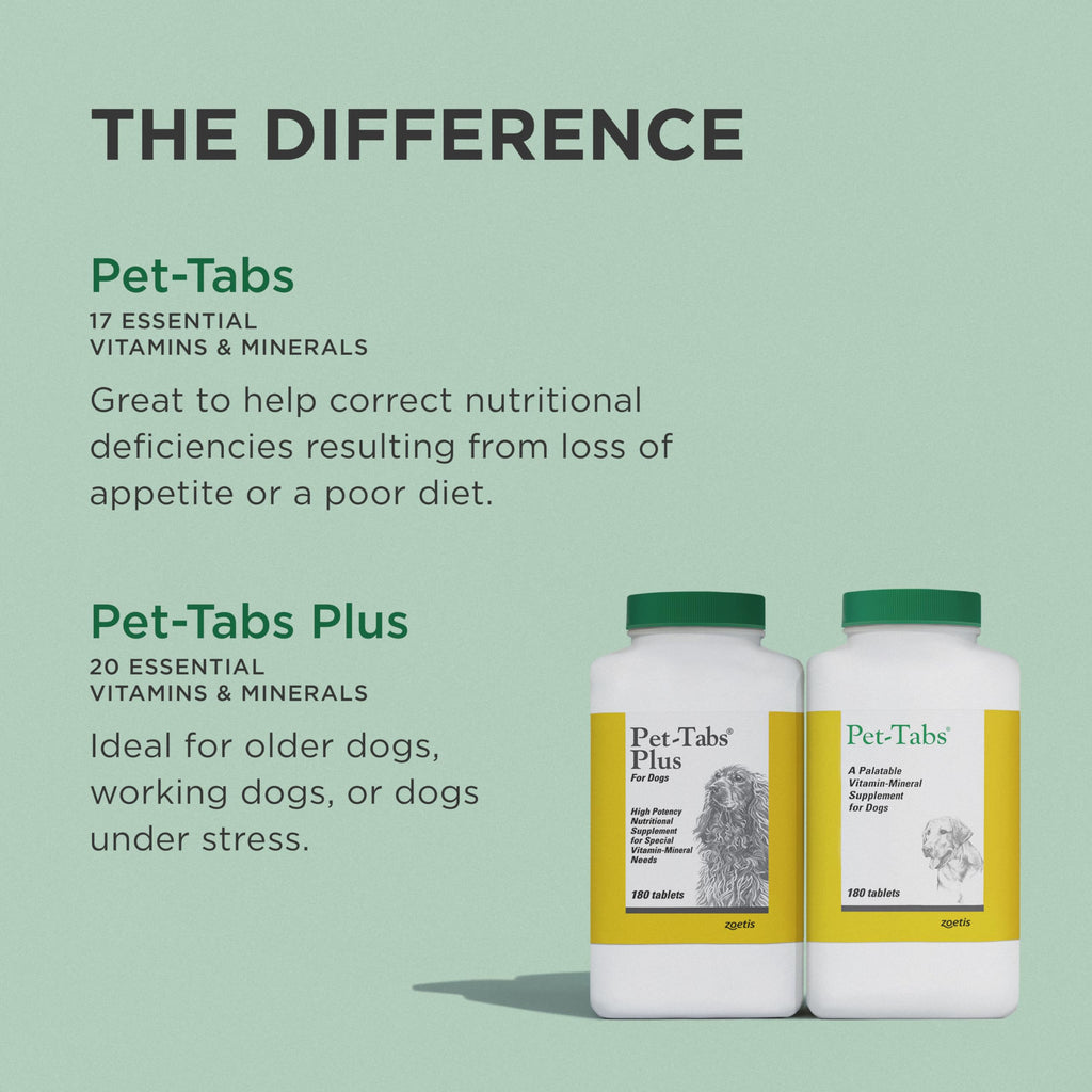 Multivitamin Supplement for Dogs 60 Chewables Q9462