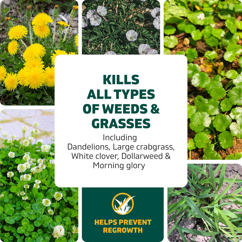 Weed & Grass Killer Kit, 64 Oz Y9950