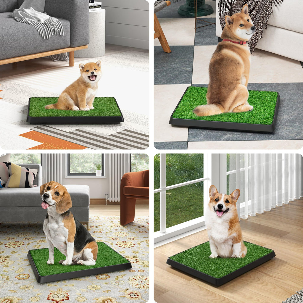 25"×20" Washable Dog Grass Pad with Tray M563
