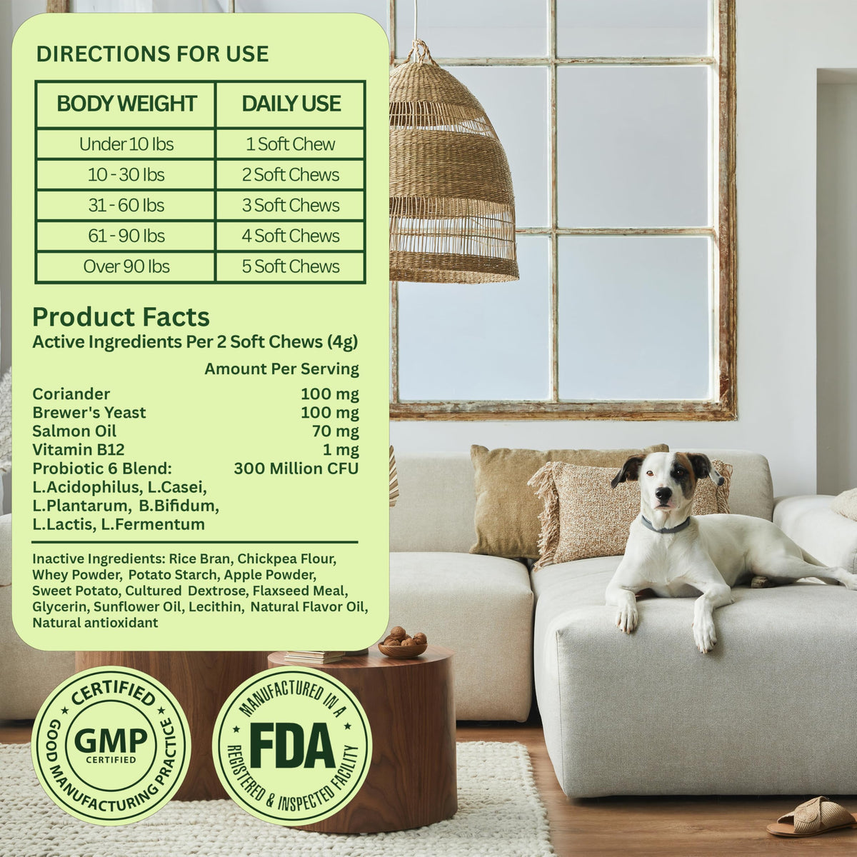 Chewable Flea and Tick Prevention for Dogs 120 Chews Beef S531839